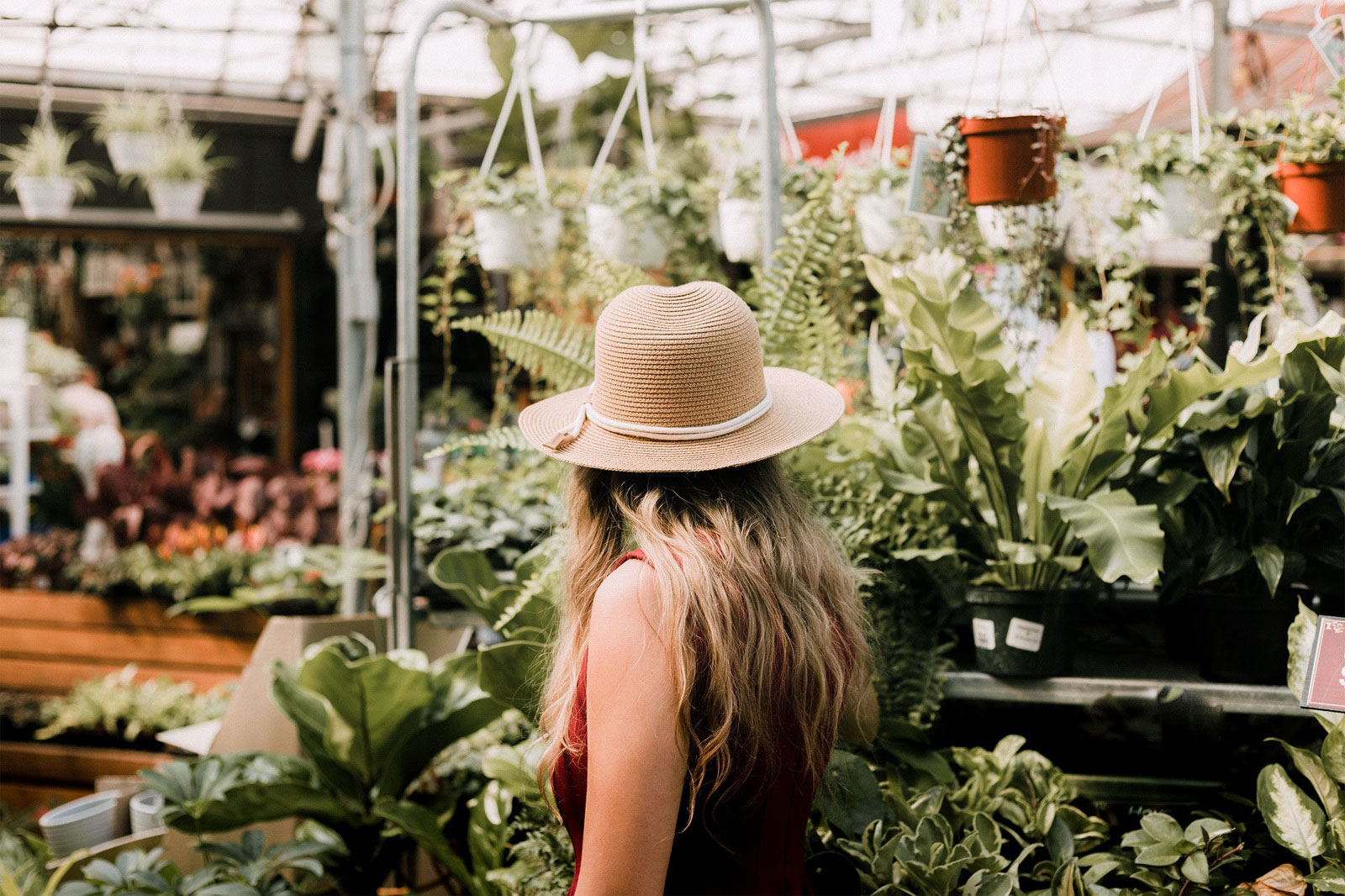 Get Lost in Austin’s Lush Urban Greenhouses